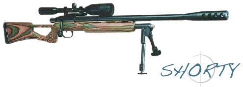 Shorty Rifle